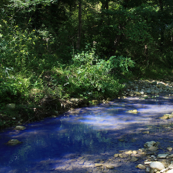 Colorants pour lacs et étangs