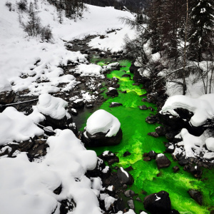 Fluoresceine, uranine - Qualité EXTRA