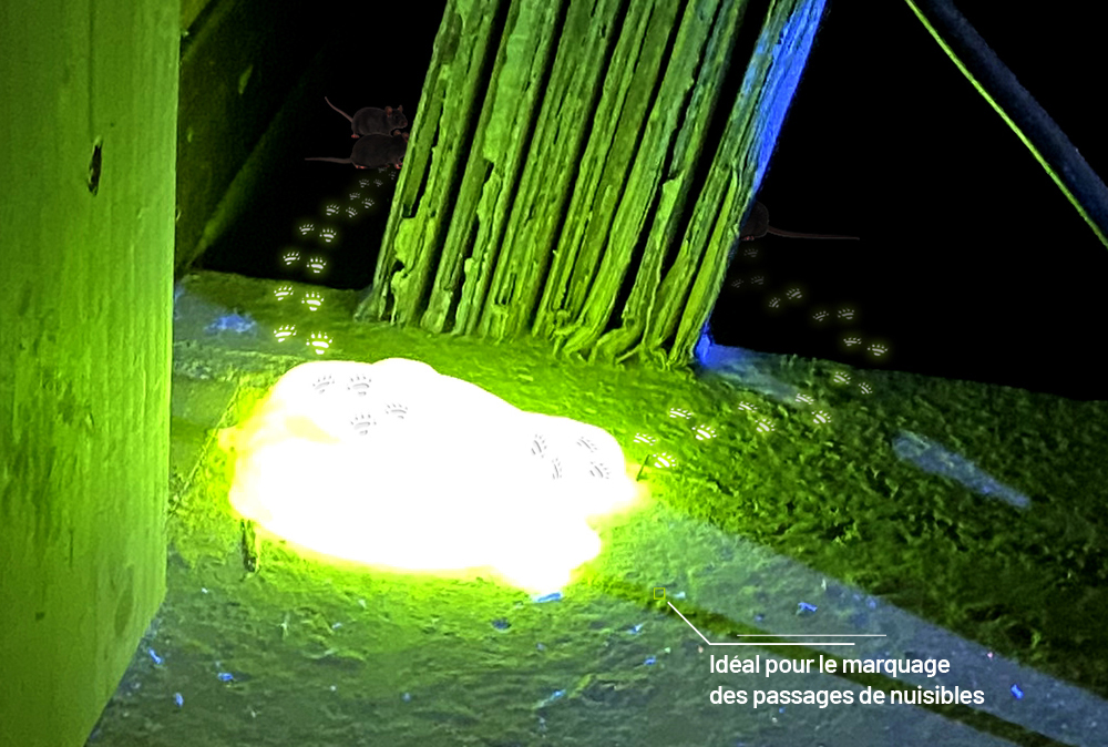 Résultat de l'utilisation d'UV gel Yellow après un passage de nuisibles