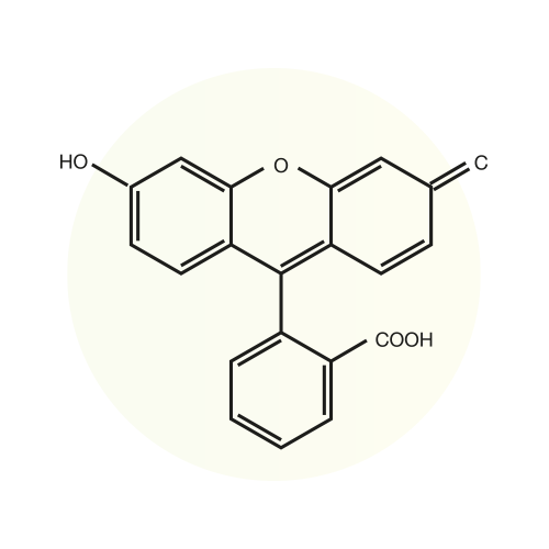 Fluorescéine sel de sodium (C.I. 45350) MIC, BP - Labbox France