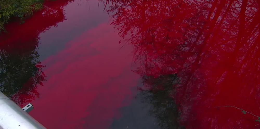 La rivière auxance prend des teintes vertes et rouges pour une étude hydrogéologique