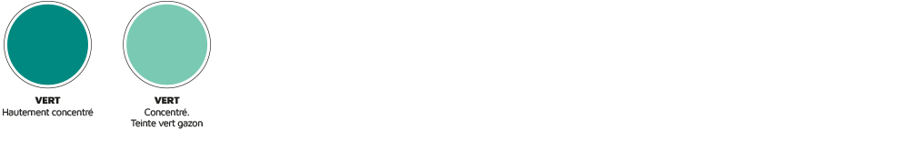 PALETTE_COULEUR_1.png