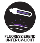 FLUORESCENTS--SOUS--LAMPE--UV-PURPLE.png