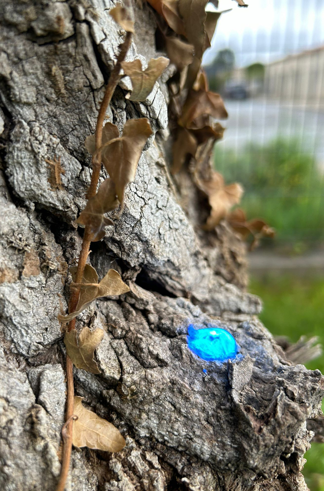 Use of UV blue gel outdoors